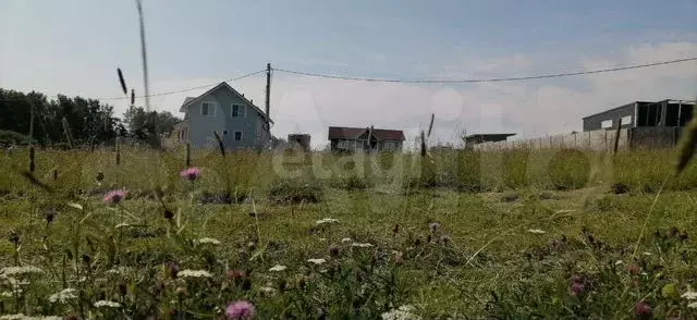 Участок 12 сот. (ИЖС) - Фото 0