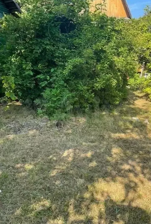 Участок 4,3 сот. (ИЖС) - Фото 1