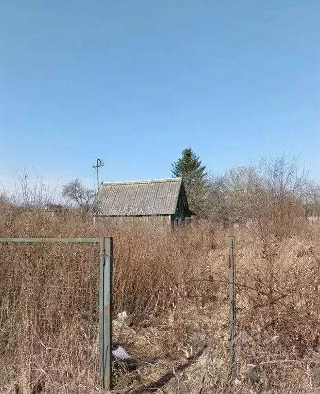 Участок в Калининградская область, Калининград 50 лет Октября СНТ, ул. ... - Фото 2