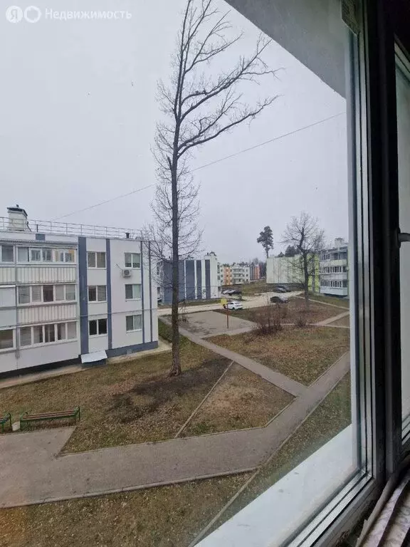 1-комнатная квартира: Димитровград, улица Менделеева, 31 (29.6 м) - Фото 2