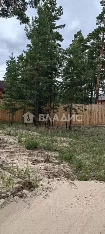 Участок в Бурятия, Улан-Удэ 144-й мкр, ул. Титановая, 12 (8.0 сот.) - Фото 2