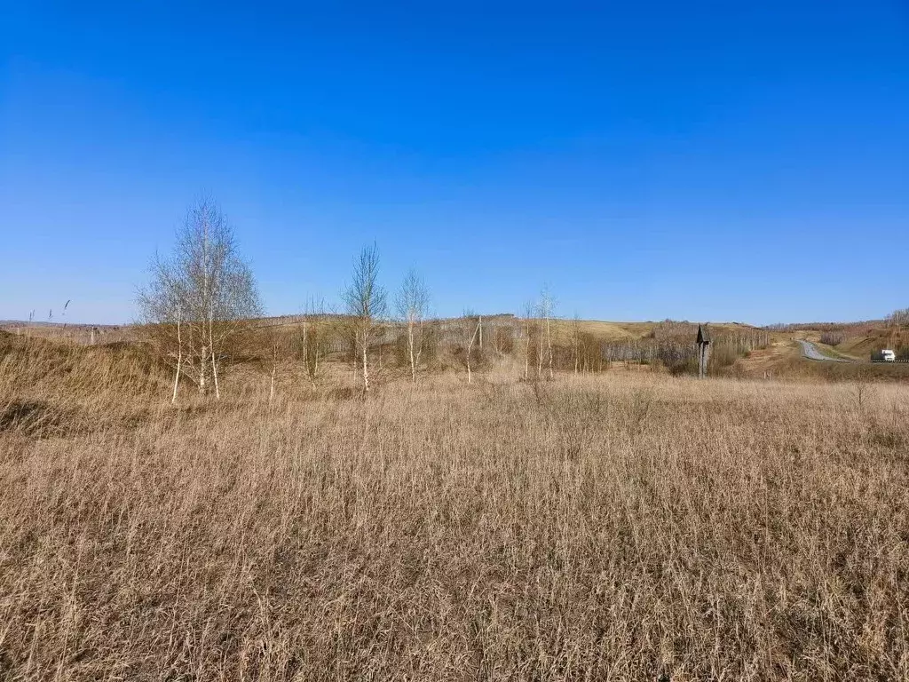 Участок в Красноярский край, Емельяновский муниципальный округ, ... - Фото 1