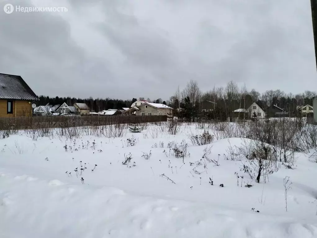 Деревня ванино. Деревня Ванино поле Лужский район. Деревня Почап Лужского района. Деревня ящера Лужский район. Деревни Ленинградской области.