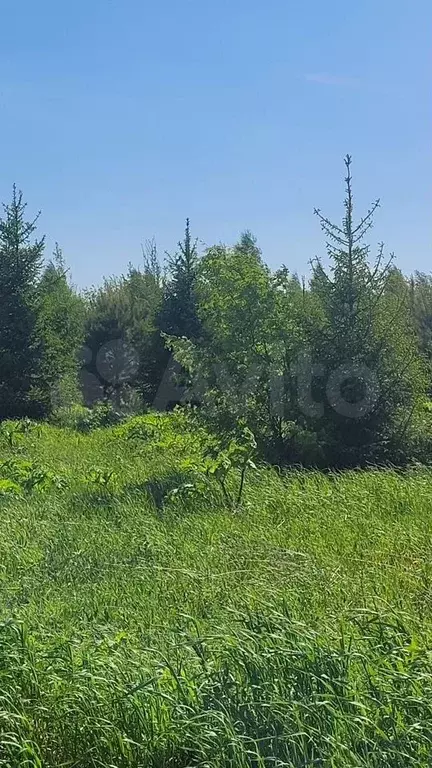 Участок 7,6 сот. (ИЖС) - Фото 1
