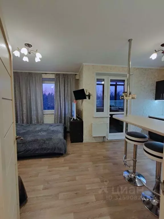 Студия Московская область, Богородский городской округ, д. Щемилово ... - Фото 2