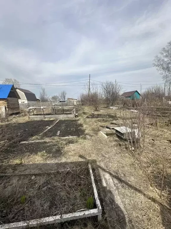 Участок в Кемеровская область, Кемерово Мичуринец СНТ, аллея 1-я (4.0 ... - Фото 2
