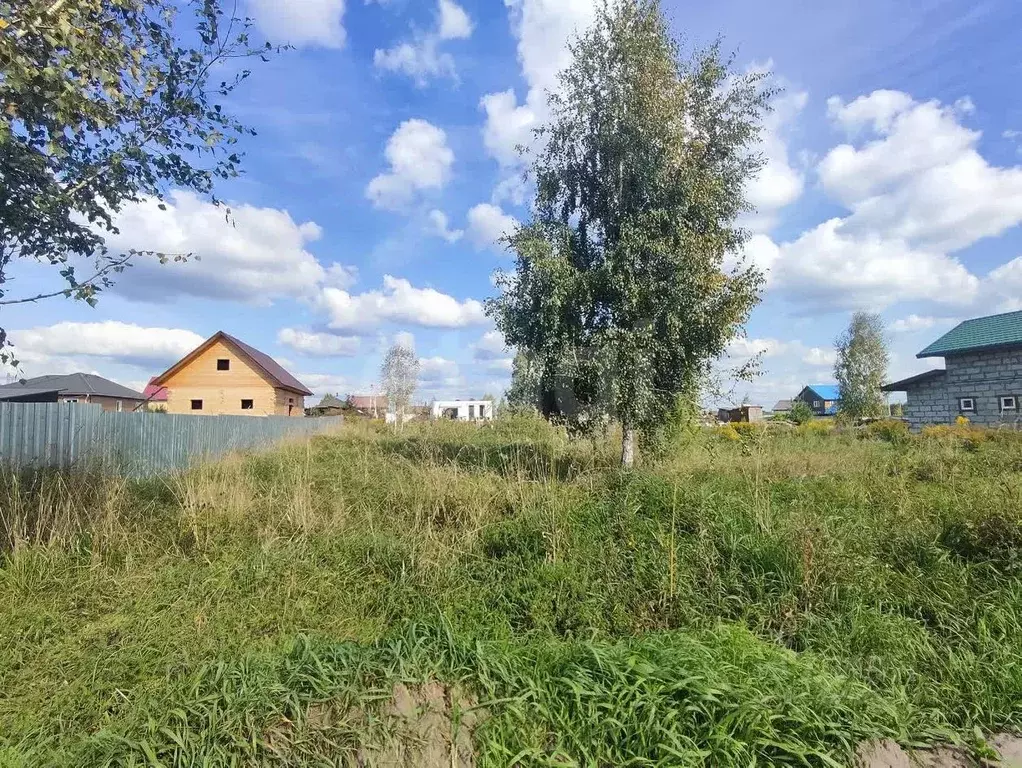Участок в Новосибирская область, Искитимский район, с. Морозово  (15.0 ... - Фото 1