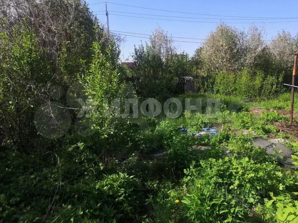 Участок в Алтайский край, Барнаул ул. Попова (4.8 сот.) - Фото 1