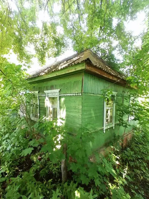 Дом в деревня Николаевка, Лесная улица (50 м) - Фото 0