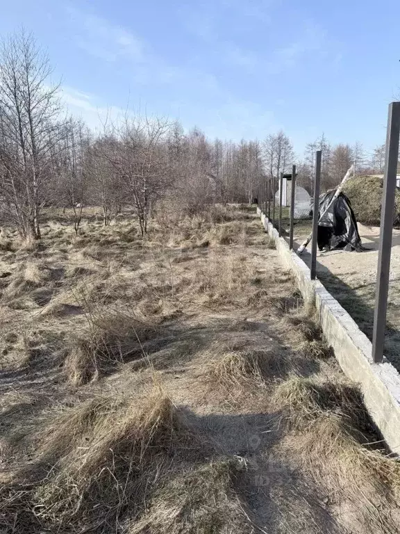 Участок в Калининградская область, Светлогорский городской округ, пос. ... - Фото 1