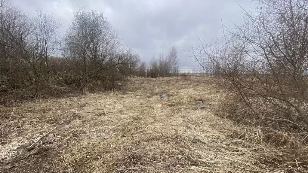Участок в Московская область, Клин городской округ, д. Спас-Коркодино  ... - Фото 1