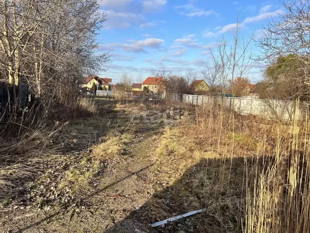 Участок в Калининградская область, Гурьевский муниципальный округ, ... - Фото 1