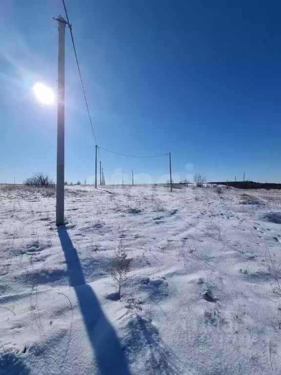 Участок в Волгоградская область, Камышин ул. Липкина, 83 (8.3 сот.) - Фото 0