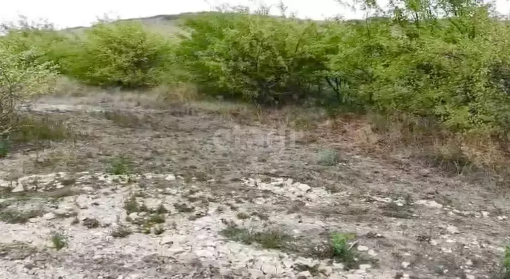 Участок в Ставропольский край, Шпаковский муниципальный округ, Садовый ... - Фото 2