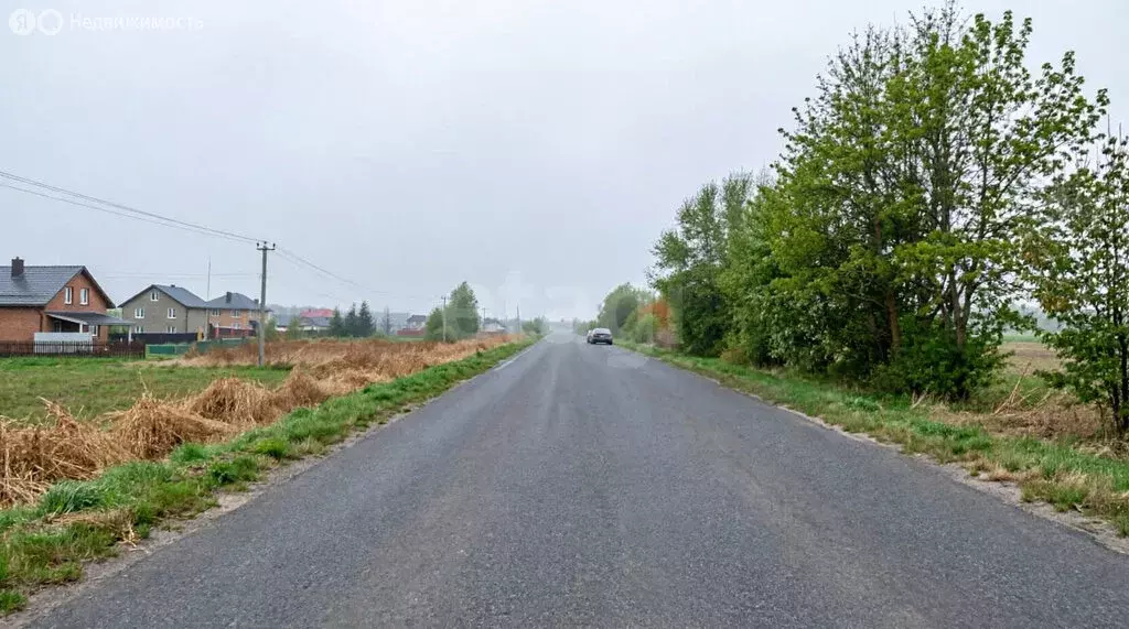 Участок в Ярославский муниципальный округ, деревня Кузнечиха ... - Фото 1