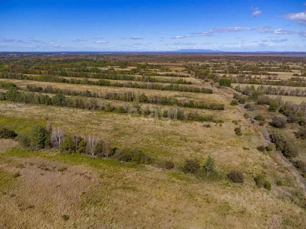 Участок в Хабаровский край, Хабаровский район, Мичуринское с/пос, с. ... - Фото 2