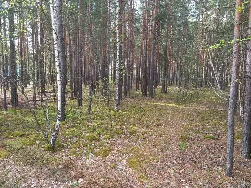 Участок в Тюменский муниципальный округ, деревня Железный Перебор (7.1 ... - Фото 2