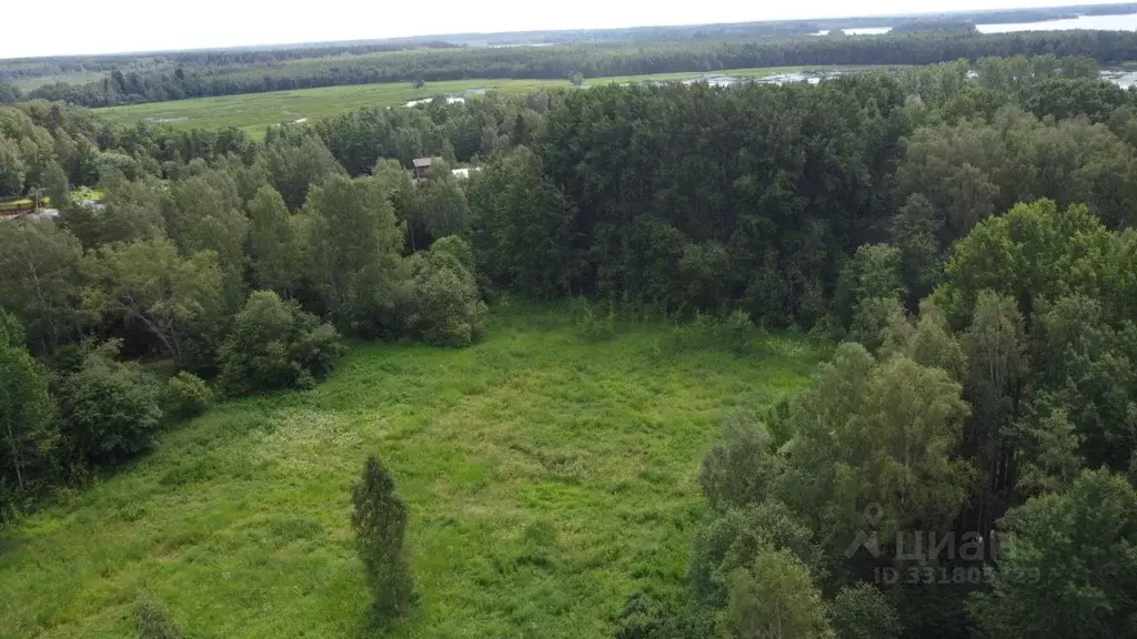 Участок в Ленинградская область, Выборгский район, Советское городское ... - Фото 1