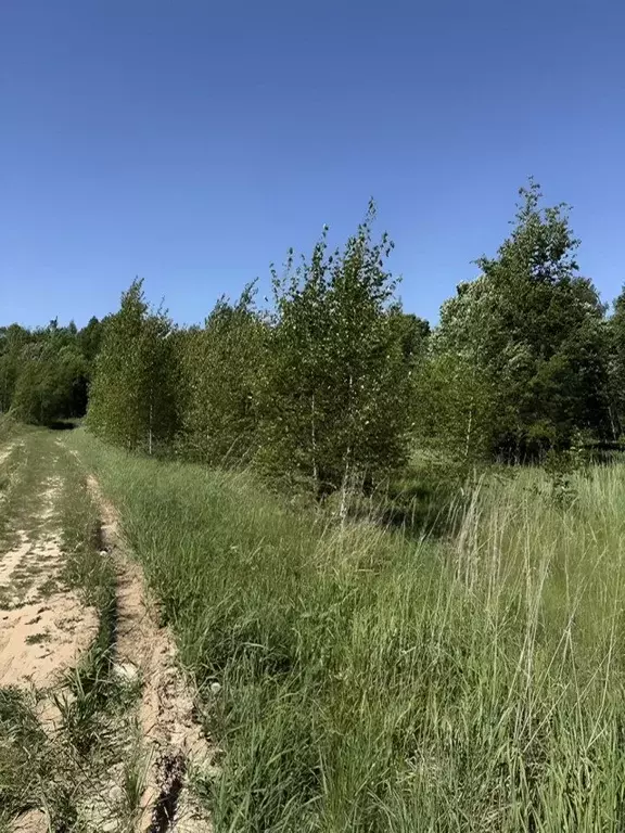 Дом в Московская область, Подольск городской округ, д. Наумово ул. ... - Фото 1