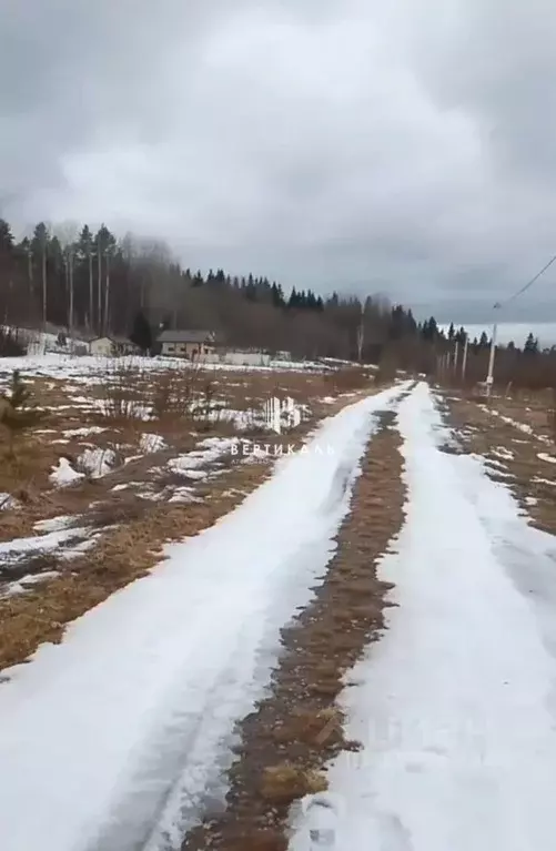 Участок в Ленинградская область, Выборгский район, Рощинское городское ... - Фото 1