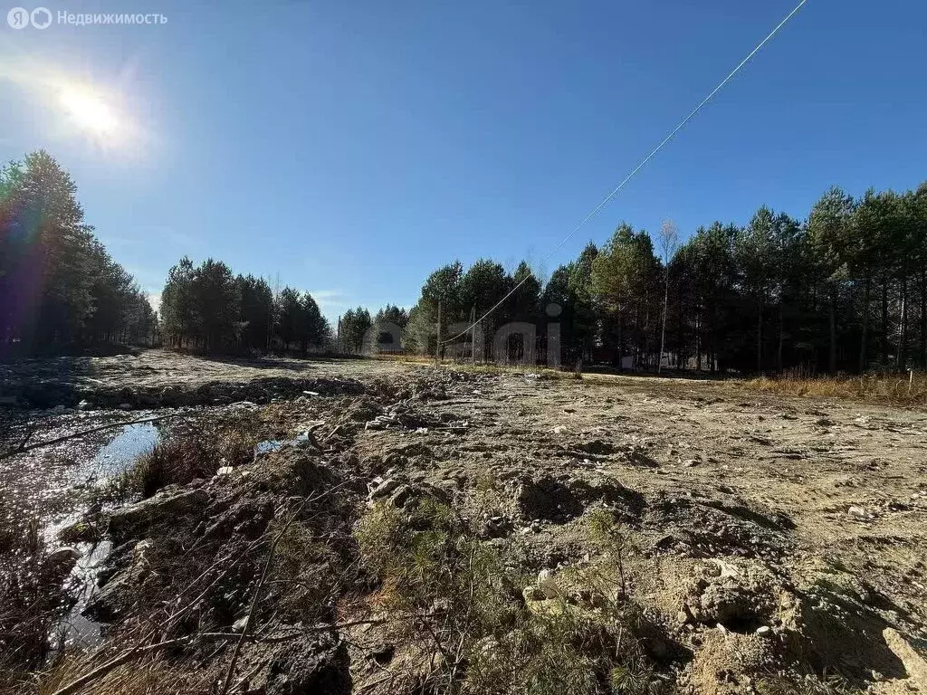 Участок в Бессоновский район, посёлок Подлесный, КП Лесное озеро ... - Фото 2