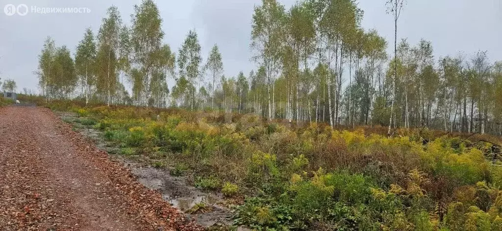 Участок в Тульская область, муниципальное образование Тула, село ... - Фото 0