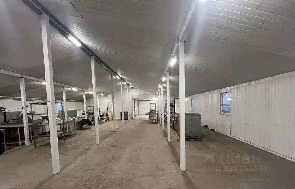 Производственное помещение в Санкт-Петербург пос. Шушары, Московское ... - Фото 0