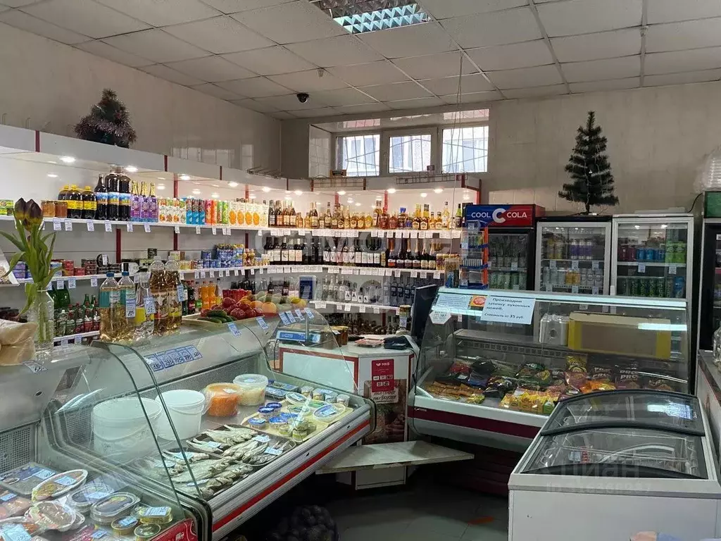 Помещение свободного назначения в Пензенская область, Пенза ул. ... - Фото 0