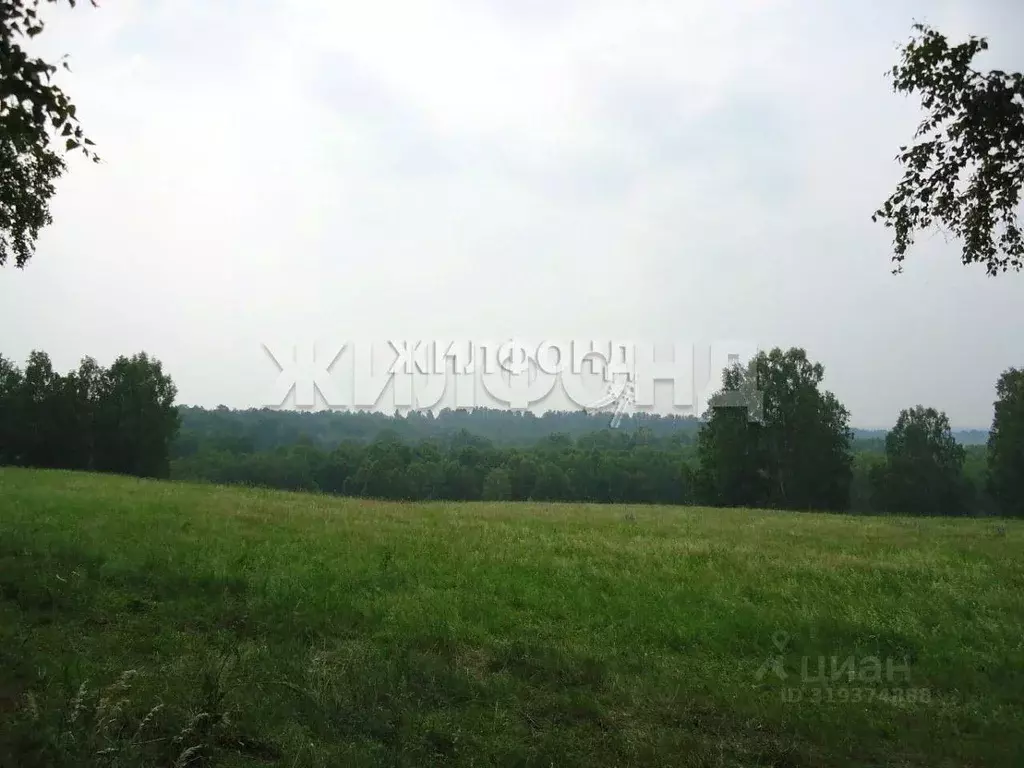 Участок в Новосибирская область, Колывань рп ул. Маяковского (10.0 ... - Фото 0