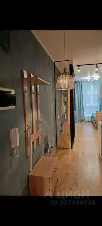 Студия Санкт-Петербург пос. Парголово, проезд Толубеевский, 8к2 (25.0 ... - Фото 2