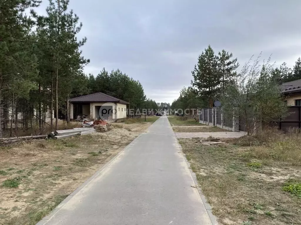 Участок в Рязанская область, Рязанский район, Дубровическое с/пос, с. ... - Фото 1