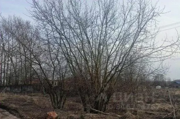 Участок в Московская область, Дмитровский муниципальный округ, д. ... - Фото 0
