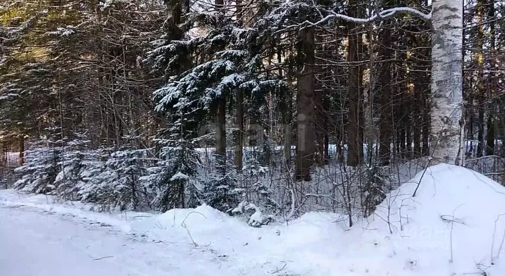 Участок в Ленинградская область, Всеволожский район, Рахьинское ... - Фото 1