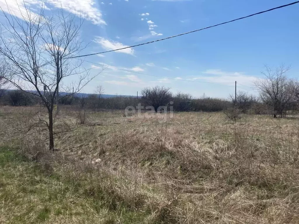 Участок в Ростовская область, Родионово-Несветайский район, ... - Фото 1