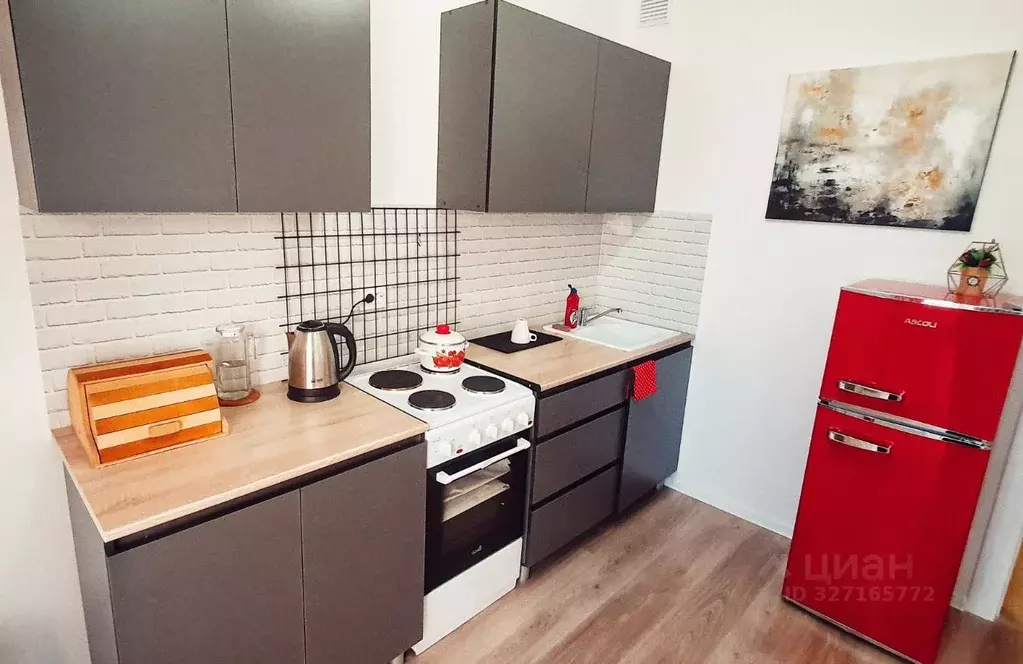 1-к кв. Санкт-Петербург ул. Пахомовская, 21 (27.0 м) - Фото 1