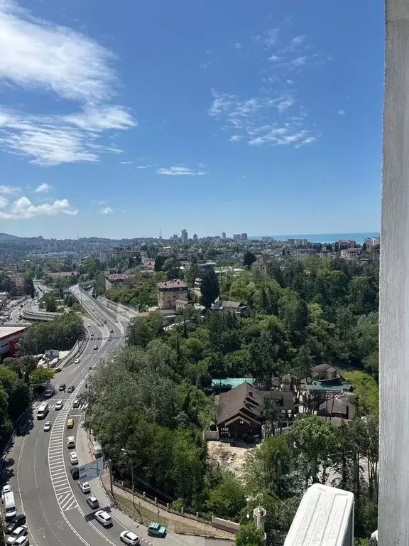 1-к кв. Краснодарский край, Сочи Виноградная ул., 206 (33.2 м) - Фото 2