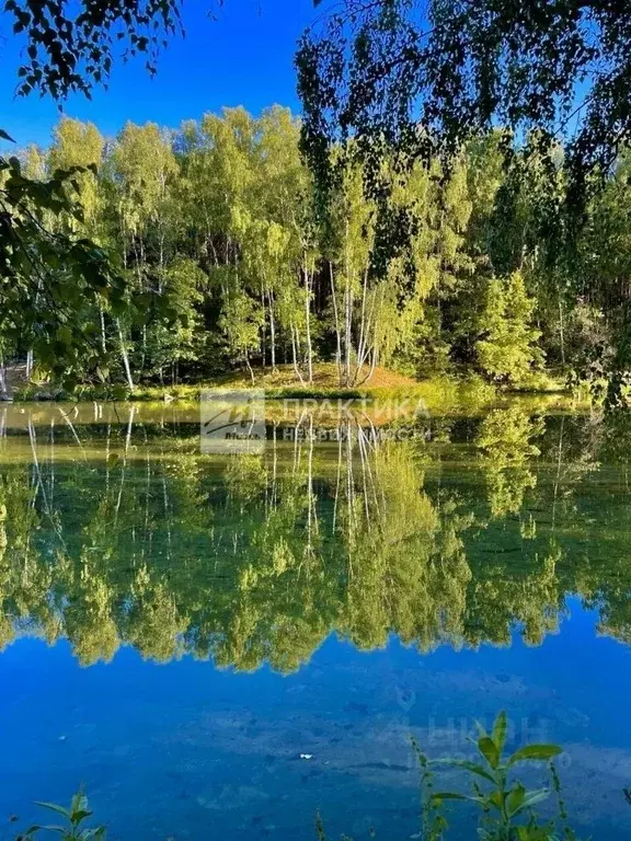 Дом в Московская область, Домодедово городской округ, Ветеран ДНП ул. ... - Фото 1