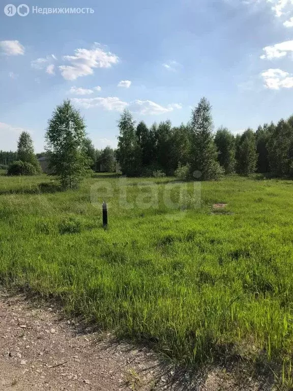 Участок в Тюменский район, ДНТ Дачи Хюгге (15 м) - Фото 0