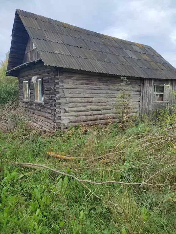 Участок в Новгородская область, Новгородский район, Трубичинское ... - Фото 1