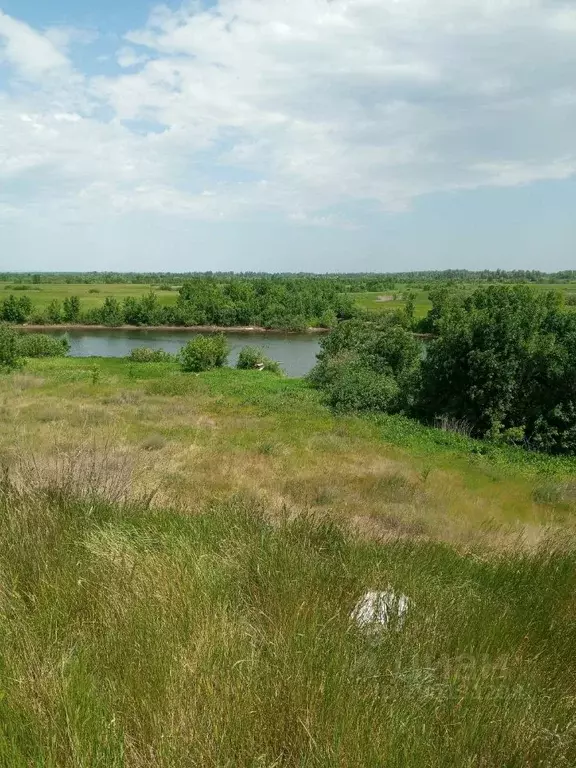 Участок в Самарская область, Безенчукский район, Купино с/пос, с. ... - Фото 2
