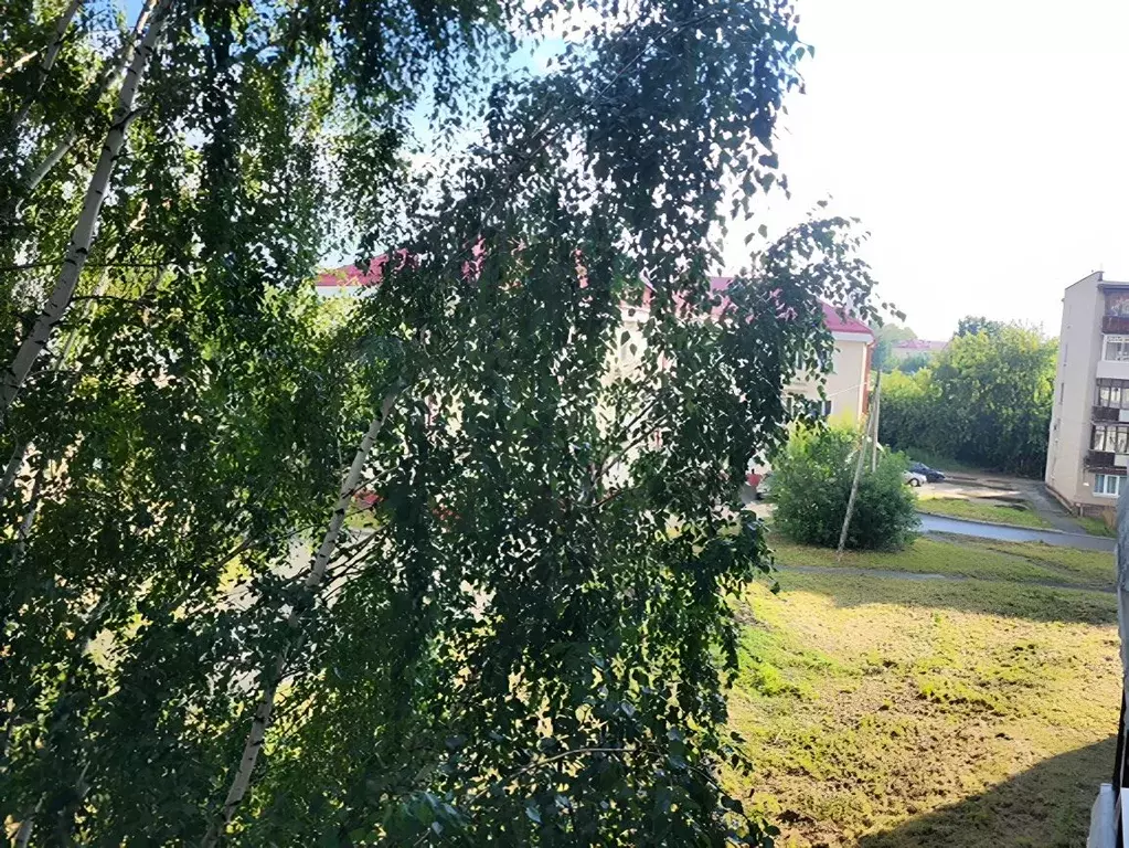 3-к кв. Свердловская область, Новоуральск Заречная ул., 5А (63.0 м) - Фото 0