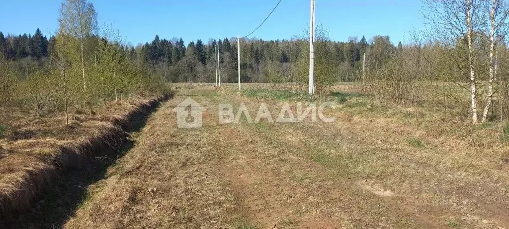 Участок в Вологодская область, д. Ильинское (Октябрьский сельсовет) ... - Фото 0