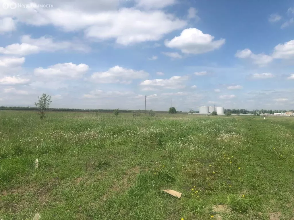 Участок в Новоусманский район, село Рогачёвка (12 м) - Фото 1