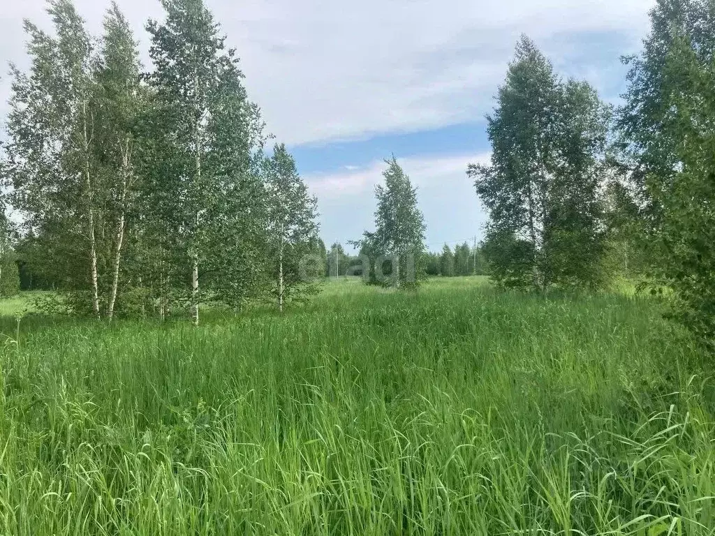 Участок в Свердловская область, Ревда городской округ, с. Кунгурка ул. ... - Фото 0