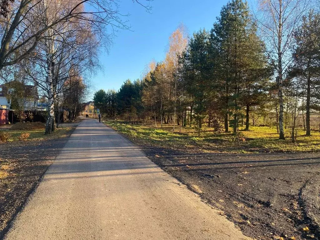 Участок в Московская область, Пушкинский городской округ, с. ... - Фото 1