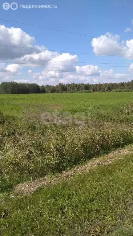Участок в Свердловская область, Тугулымский муниципальный округ, село ... - Фото 1
