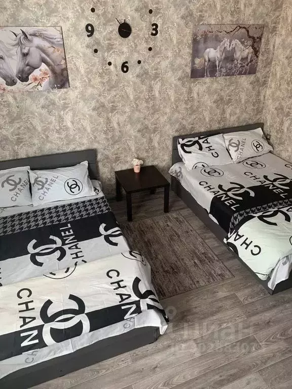 1-к кв. Воронежская область, Павловск просп. Революции, 4А (45.0 м) - Фото 1
