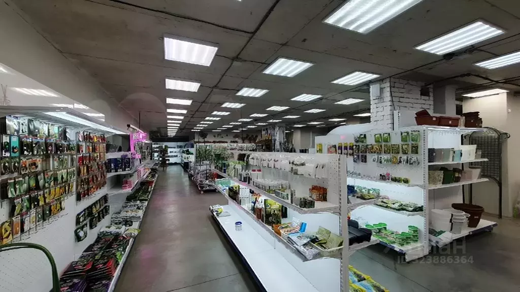 Помещение свободного назначения в Самарская область, Самара ... - Фото 2