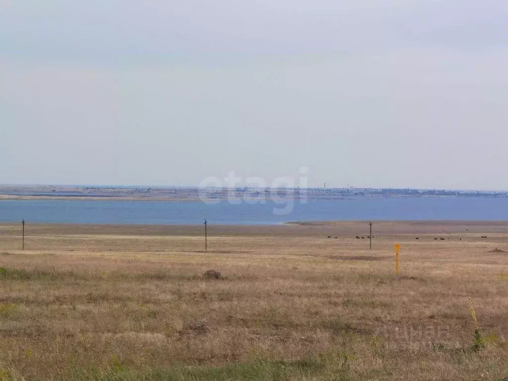 Участок в Крым, Черноморский район, с. Новоивановка  (100.0 сот.) - Фото 0