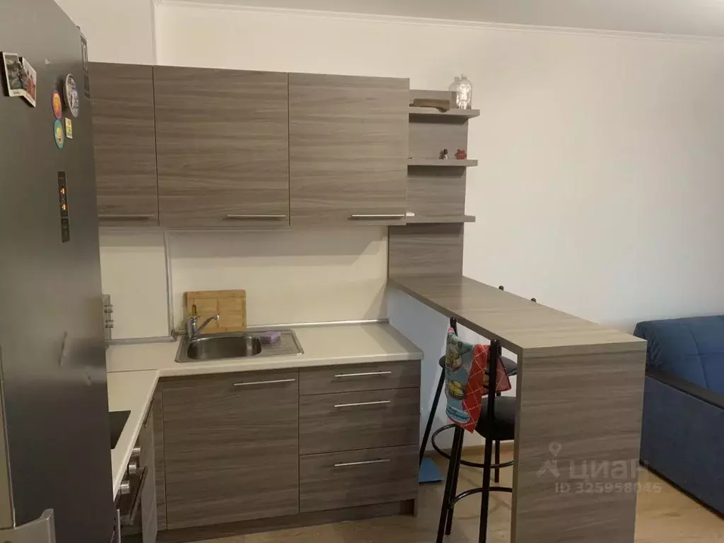 Студия Санкт-Петербург просп. Энергетиков, 9к3 (25.0 м) - Фото 2